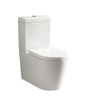 Ceramic Foshan Toilet S-trap Rimless Inodoro Sanitario Toilet Wc Pictures