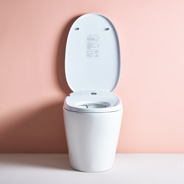 WELS Watermark Australian Standard Ceramic WC Bathroom Sanitary Ware Save Space Smart Toilet