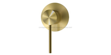 Watermark-Brush-Gold-Shower-Mixer.jpg