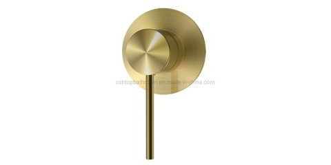 Watermark-Brush-Gold-Shower-Mixer.jpg