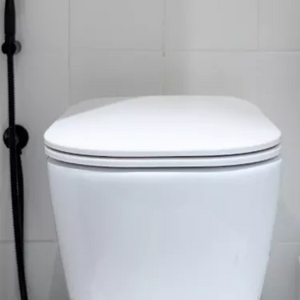 How-To-Install-An-R-T-Toilet-Cistern-Step-by-Step_364_364.png